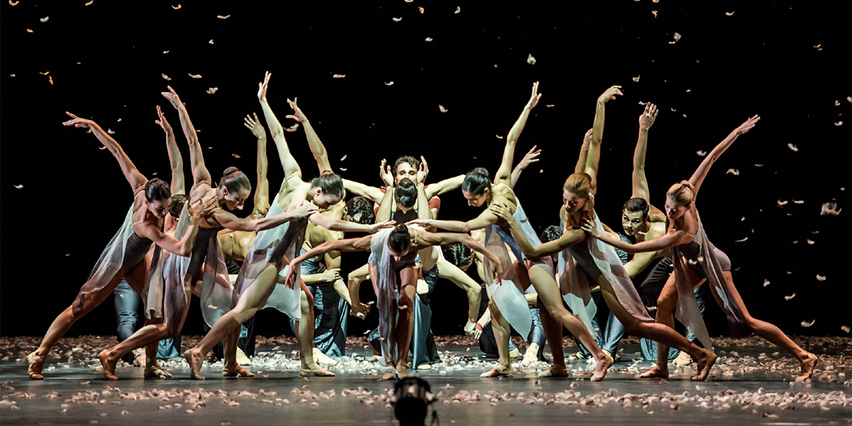 Edwaard Liang: &raquo;Murmuration&laquo; &copy; Wiener Staatsballett/Ashley Taylor